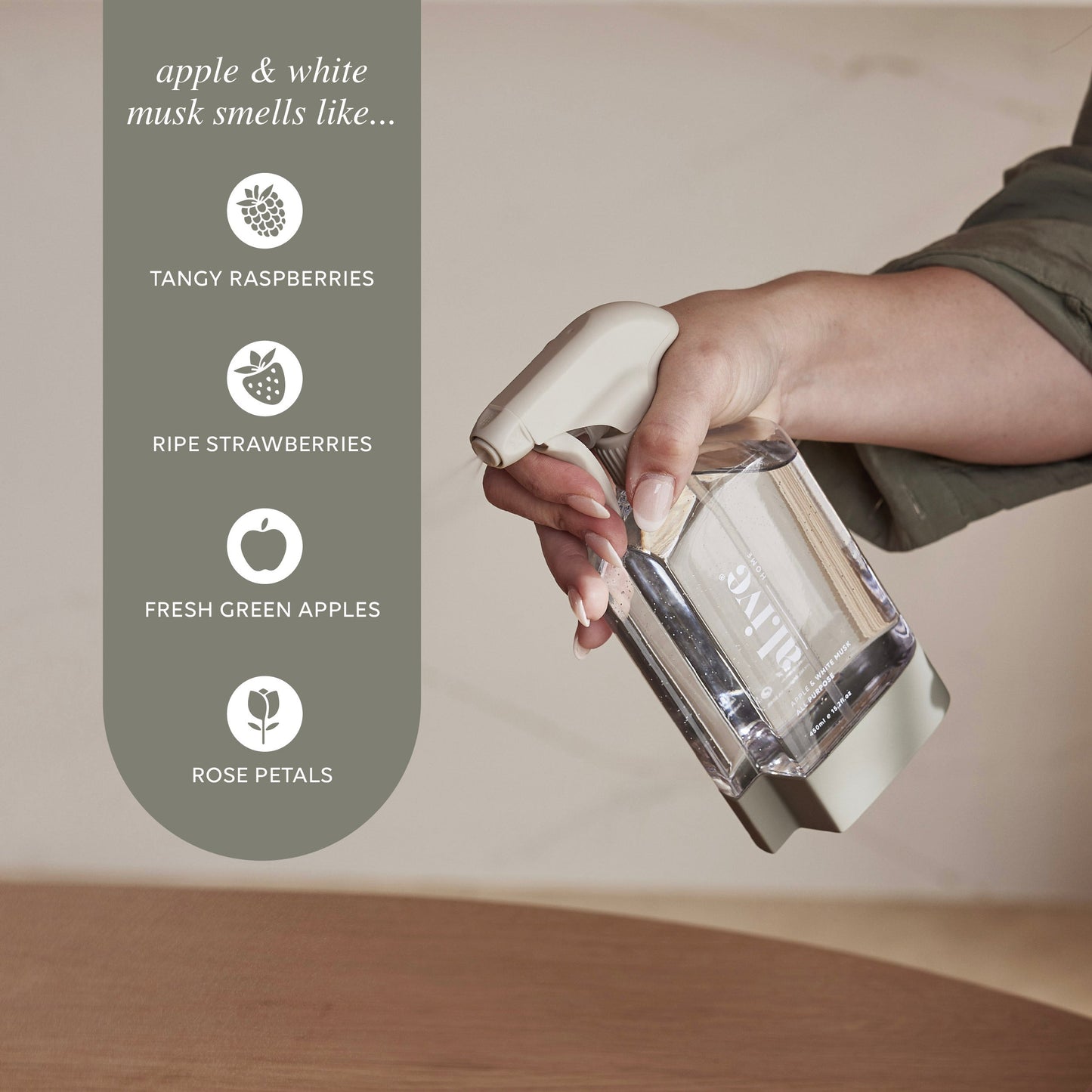 All Purpose Cleaning  Kit