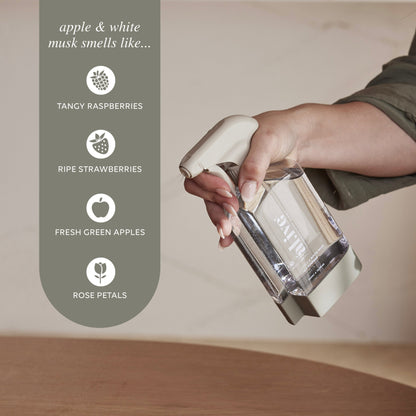 All Purpose Cleaning  Kit