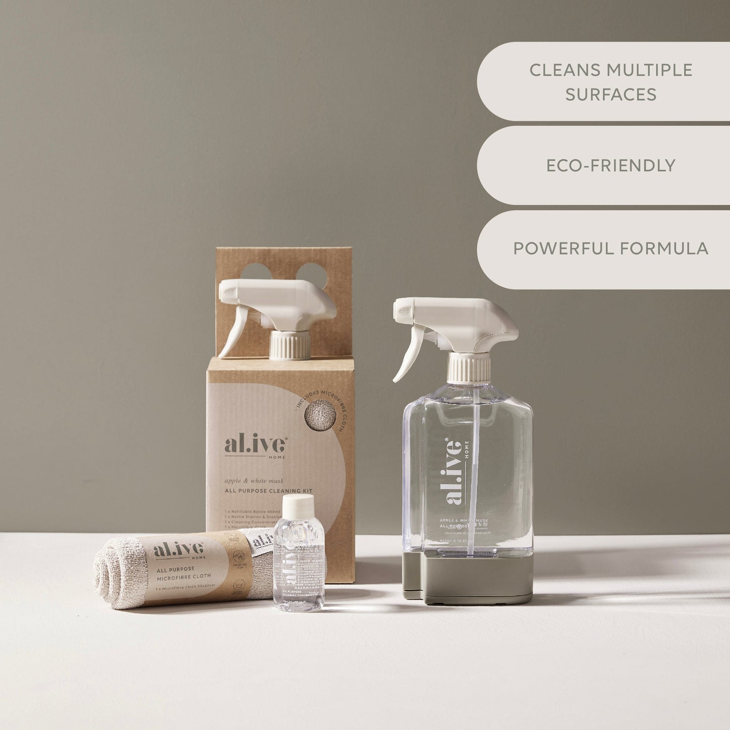 All Purpose Cleaning  Kit