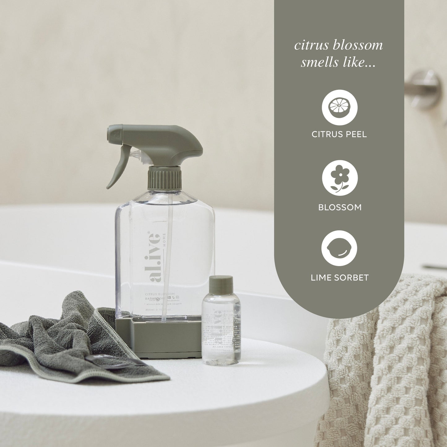Bathroom Cleaning Kit