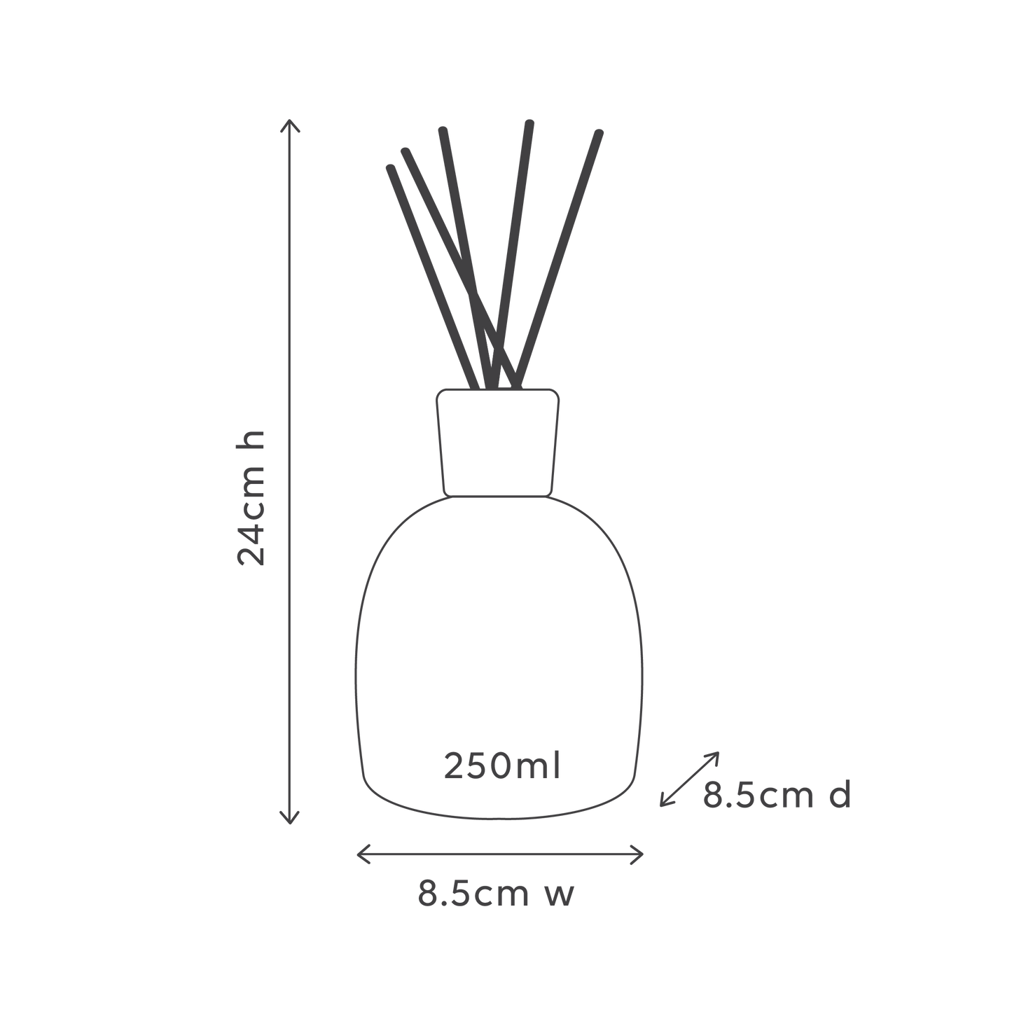 Blackcurrant & Caribbean Wood Diffuser