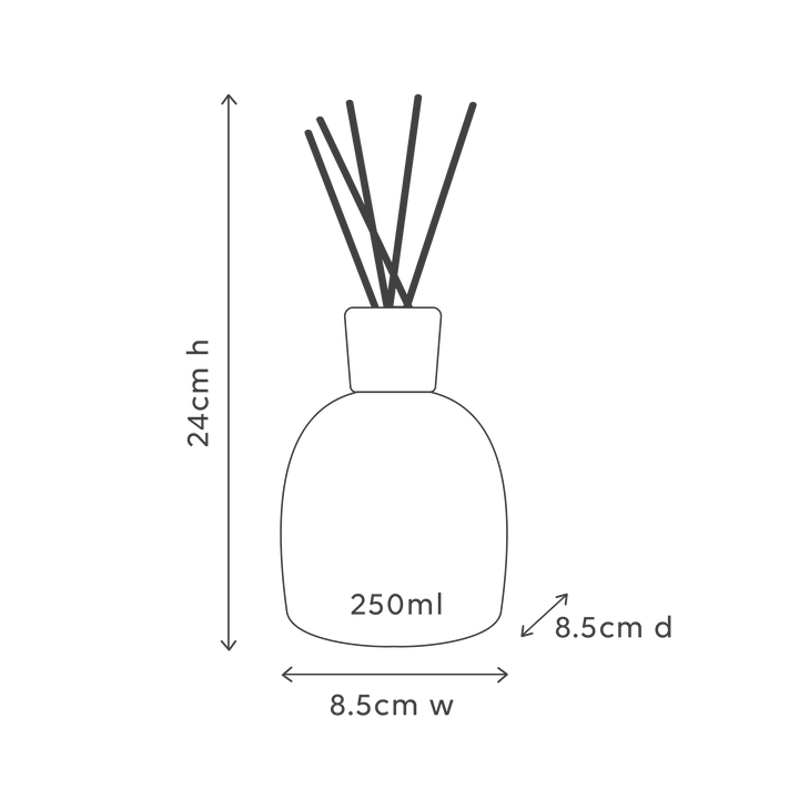 Alive Body 黑醋栗和加勒比木陶瓷扩散器