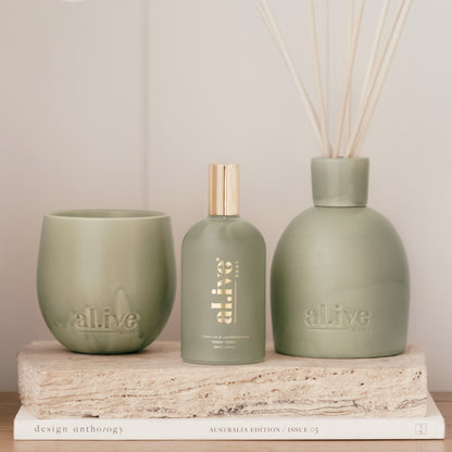 Blackcurrant & Caribbean Wood Room Spray