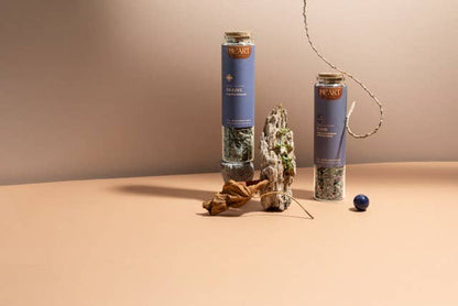 BRAINS ~ Cognition enhancer