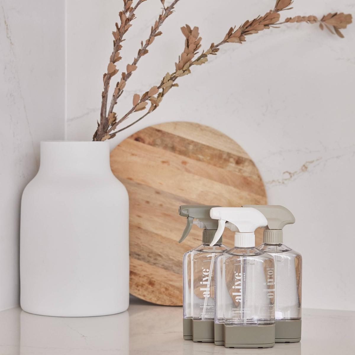 Home Cleaning Starter Kit