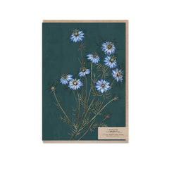 Love-in-a-mist Portrait Card