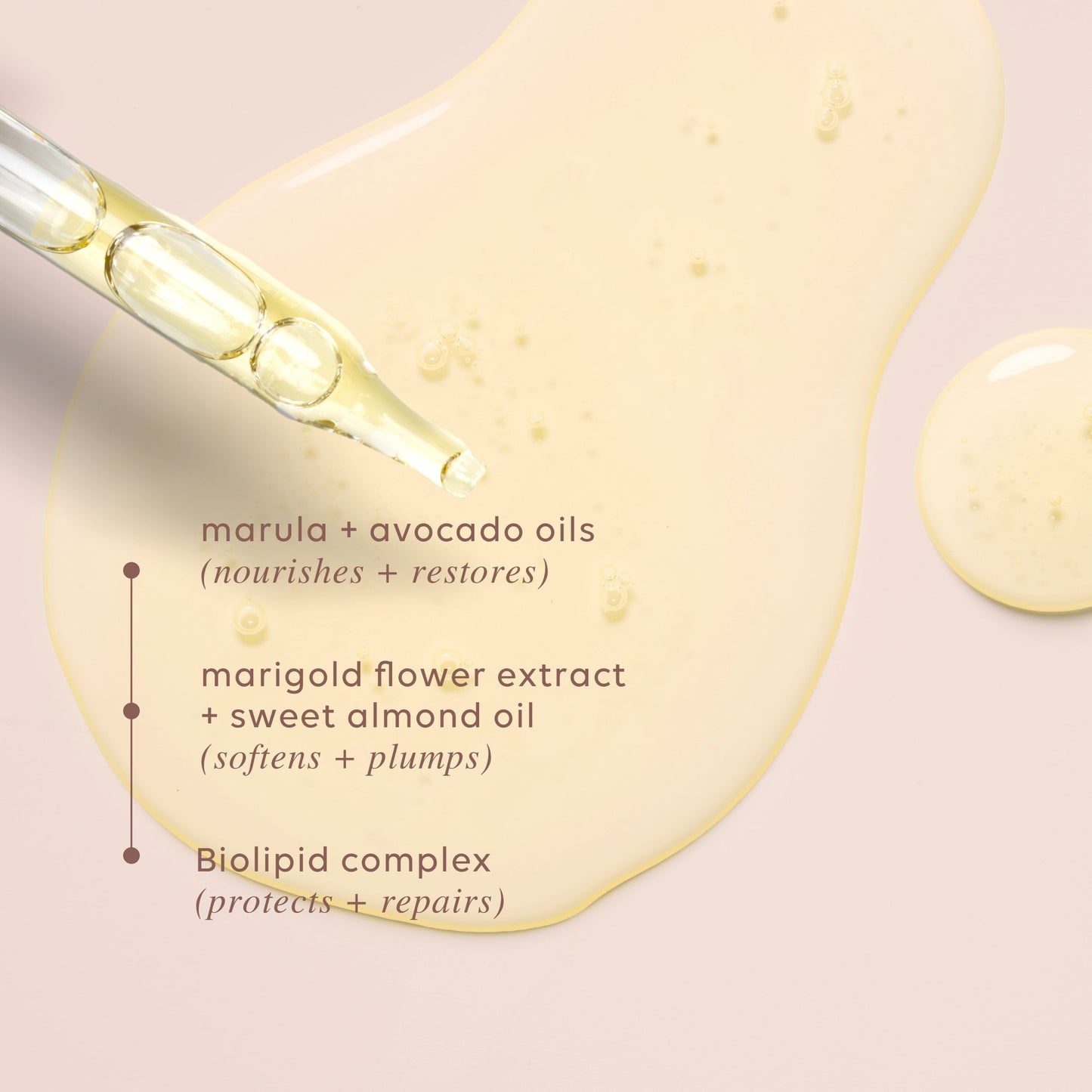 Endless Glow, Luminous Face Oil