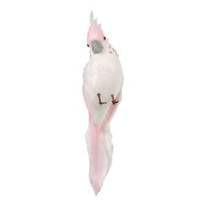 Candyfloss Pink Parrot