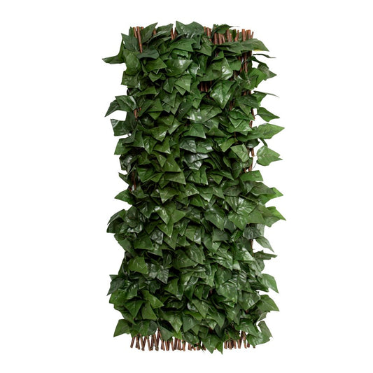 Expanding Ivy Trellis Uv Treated 2M