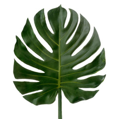 Leaf Philo 1.04M