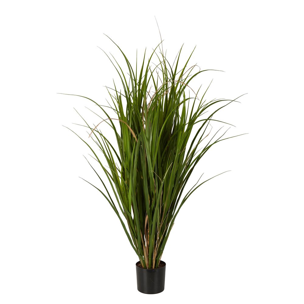 Reed In Pot 95Cm