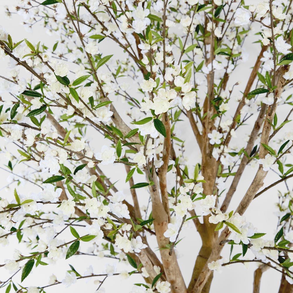 Giant Cherry Blossom Tree 2.4M White