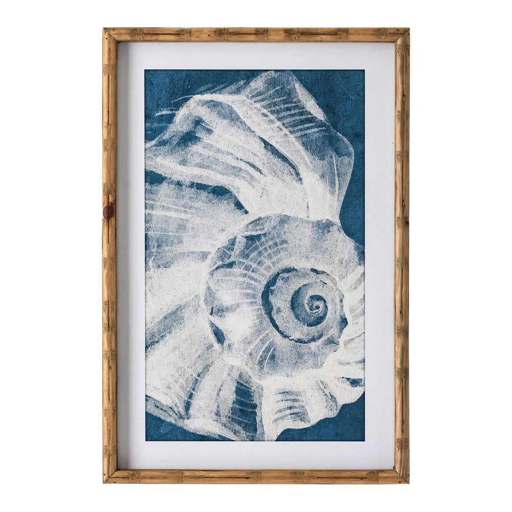 Elouera Vintage Shells Wall Art Set Of 3