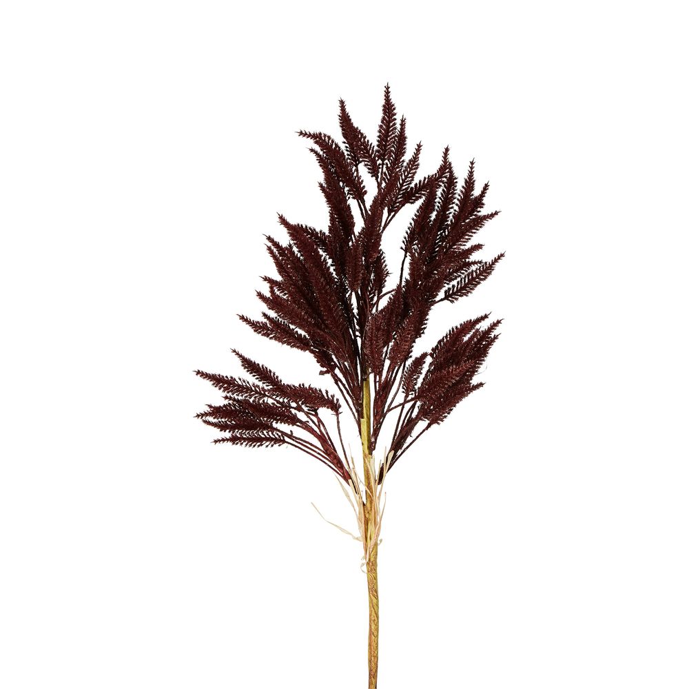 Wheat Stem 66Cm Deep Plum