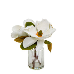 Magnolia In Glass Vase 30Cm White