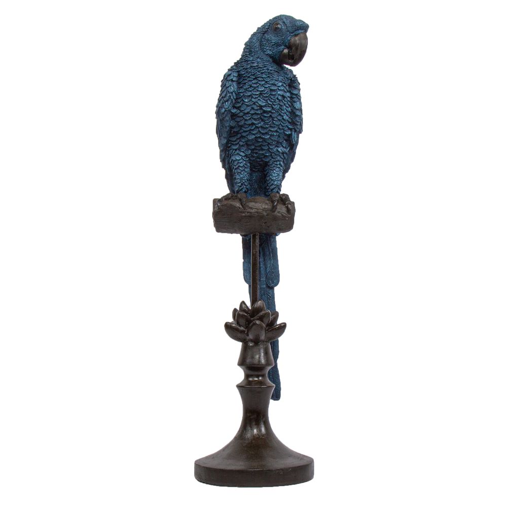 Alexa Parrot Blue