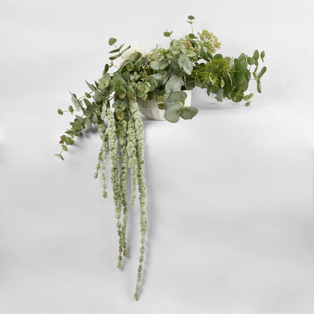 Eucalyptus 86Cm