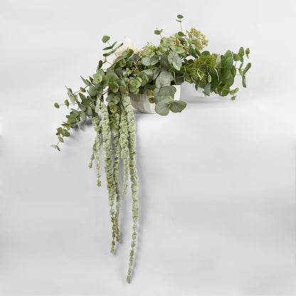 Eucalyptus 86Cm
