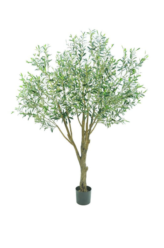 Giant Olive Tree With 3366 Leaves Green 135Cm