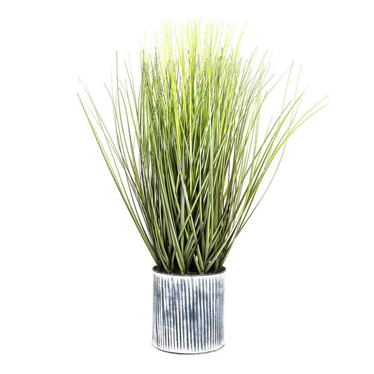 Grass In Pot 64Cm