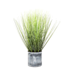 Grass In Pot 48Cm