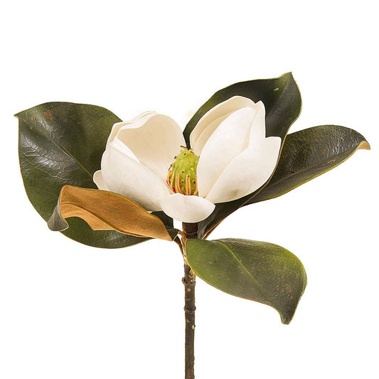 Magnolia Short Stem 60Cm White