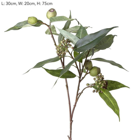 Gumnut Eucalyptus Berry Seed Spray 75Cm Green