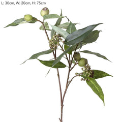 Gumnut Eucalyptus Berry Seed Spray 75Cm Green