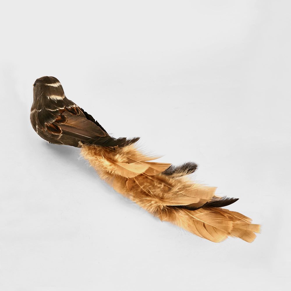 Skyle Clip On Bird Ochre