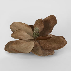 Grandiflora Clip On Velvet Magnolia Flower Brown