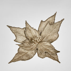 Burlap Poinsettia Stem Champagne