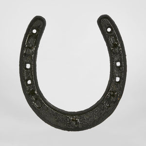 Lucky Horse Shoe!