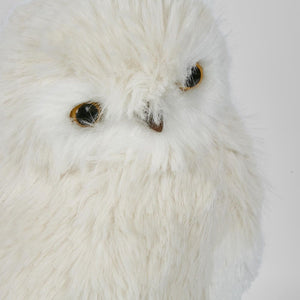 Pott'S Owl Lge