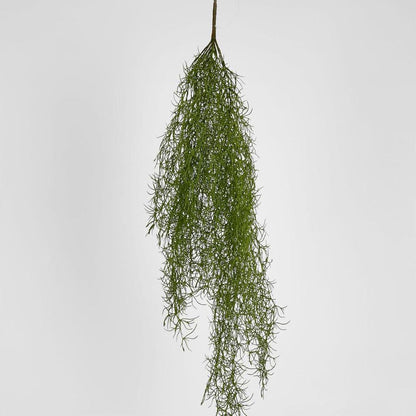 Asparagus Hanging Spray 138Cm