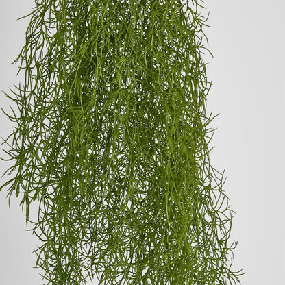 Asparagus Hanging Spray 138Cm