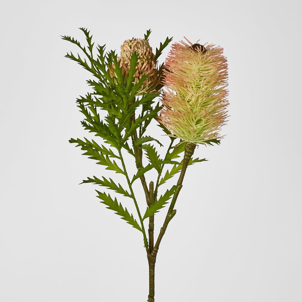 Banksia Spray With Bud And Leaf 80Cm Pink