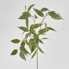 Eucalyptus Spray 117Cm