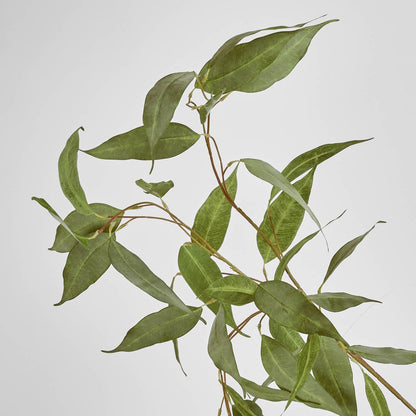 Eucalyptus Spray 117Cm