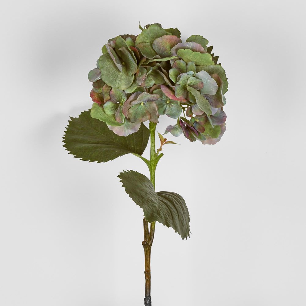 Hydrangea Large Stem With Leaves 75Cm