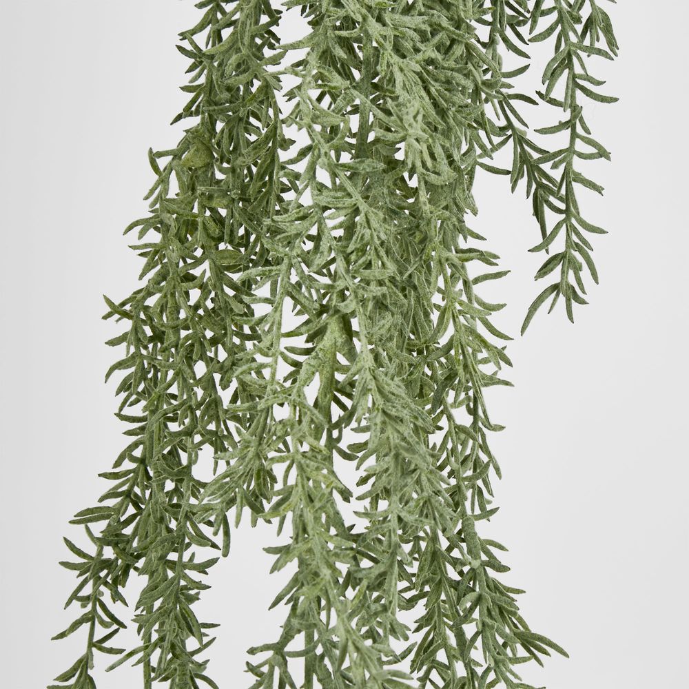 Rosemary Hanging Stem 107Cm