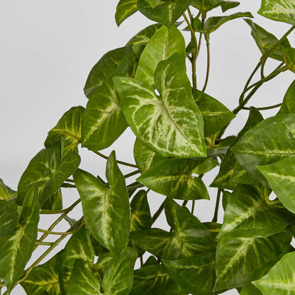 Hanging Syngonium Bush Real Touch