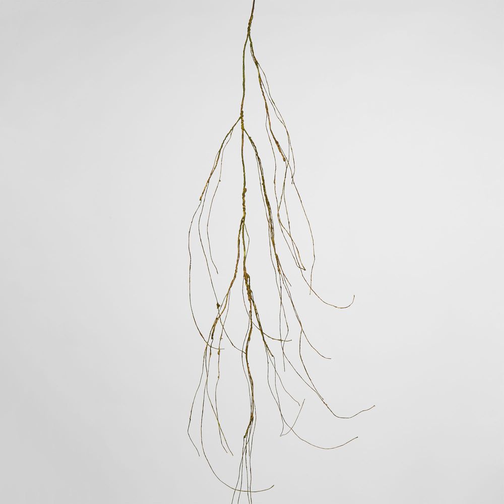 Twig Vine 135Cm Dry Natural