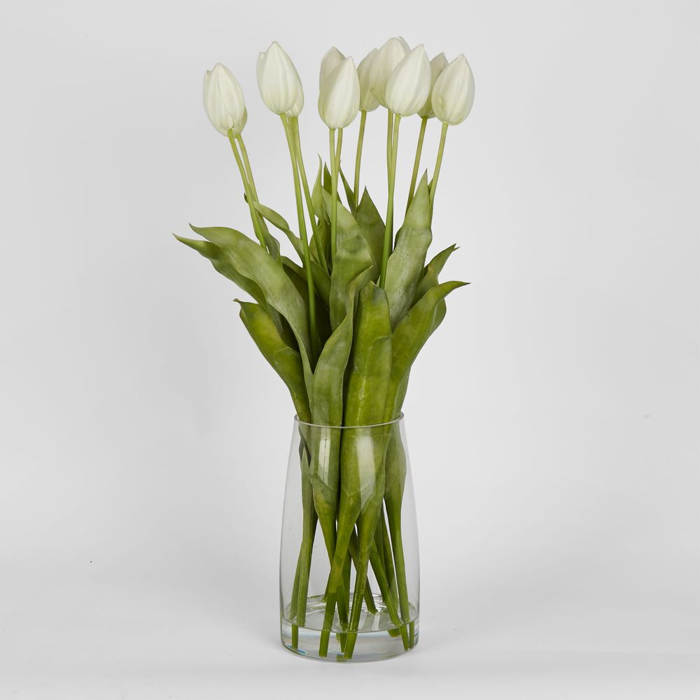 Tulip In Water Vase