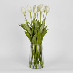 Tulip In Water Vase