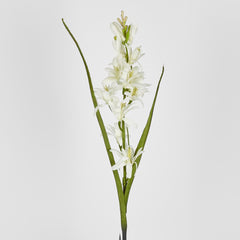 Tuberose 76Cm