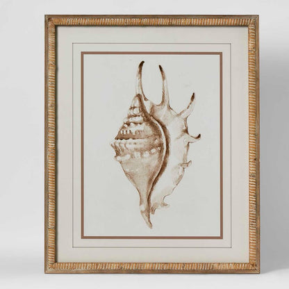 Conch Shell Wall Art B