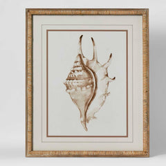 Conch Shell Wall Art B