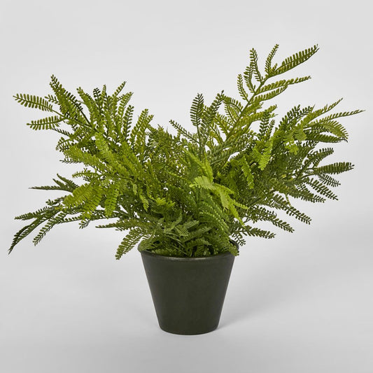 Soft Touch Fern In Black Pot