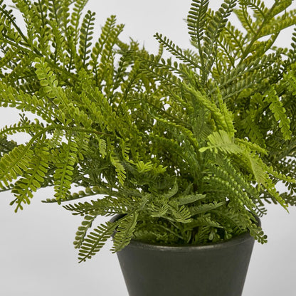 Soft Touch Fern In Black Pot