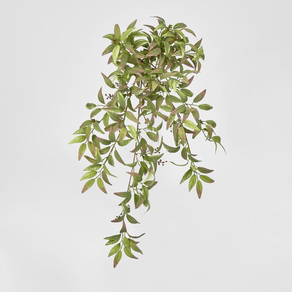Ruscus Hanging Bush With Berries